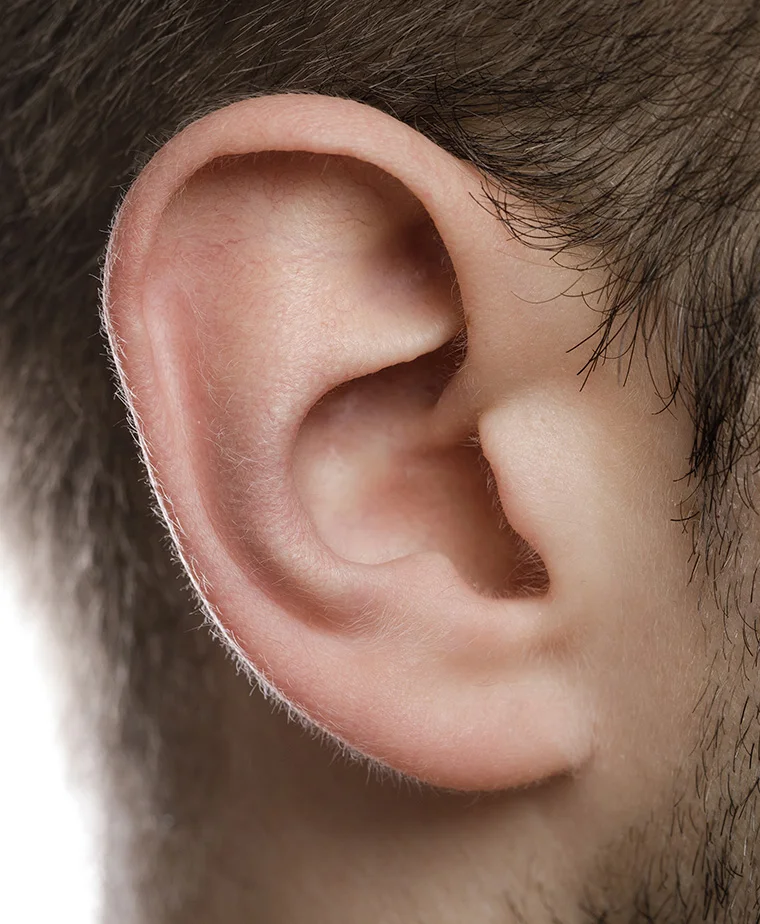 Otoplastie et correction de la forme des oreilles